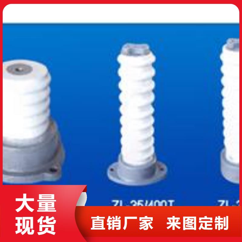 ZJ-10KV/75*130环氧树脂绝缘子