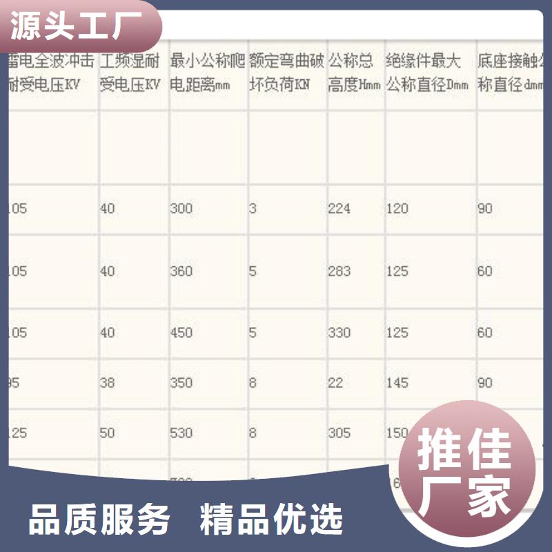 ZJ-10KV/85*140环氧树脂绝缘子