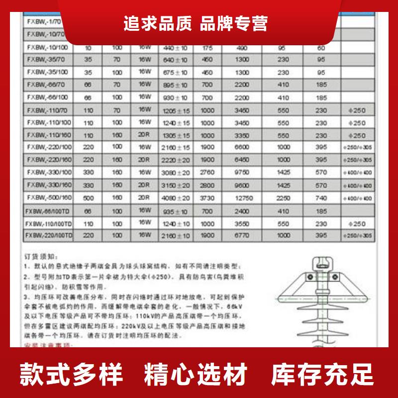 FZSW4-72.5/10高压复合绝缘子