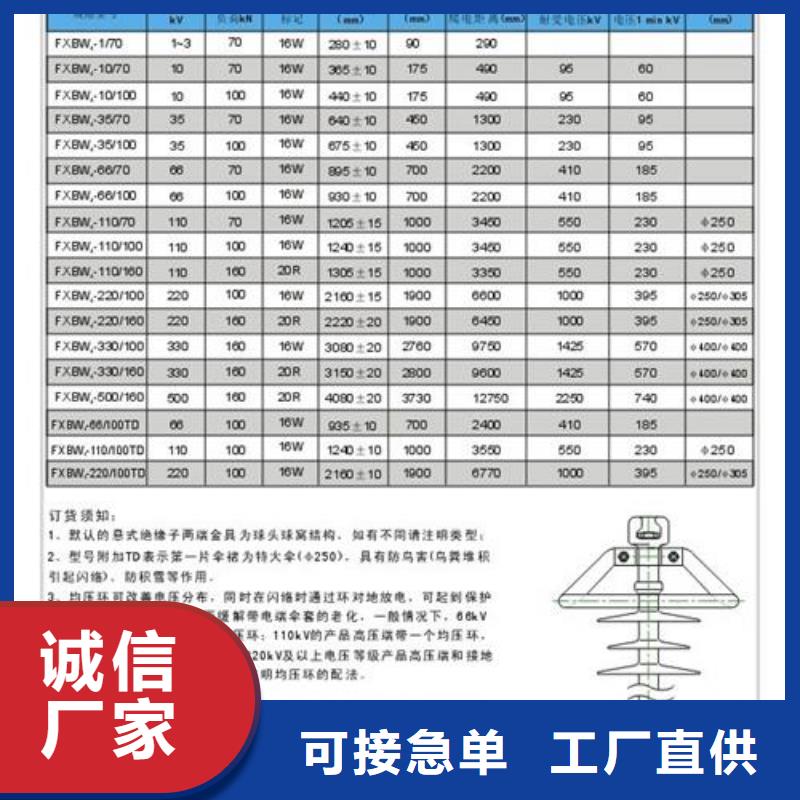 ZN-35Q/145*320环氧树脂绝缘子