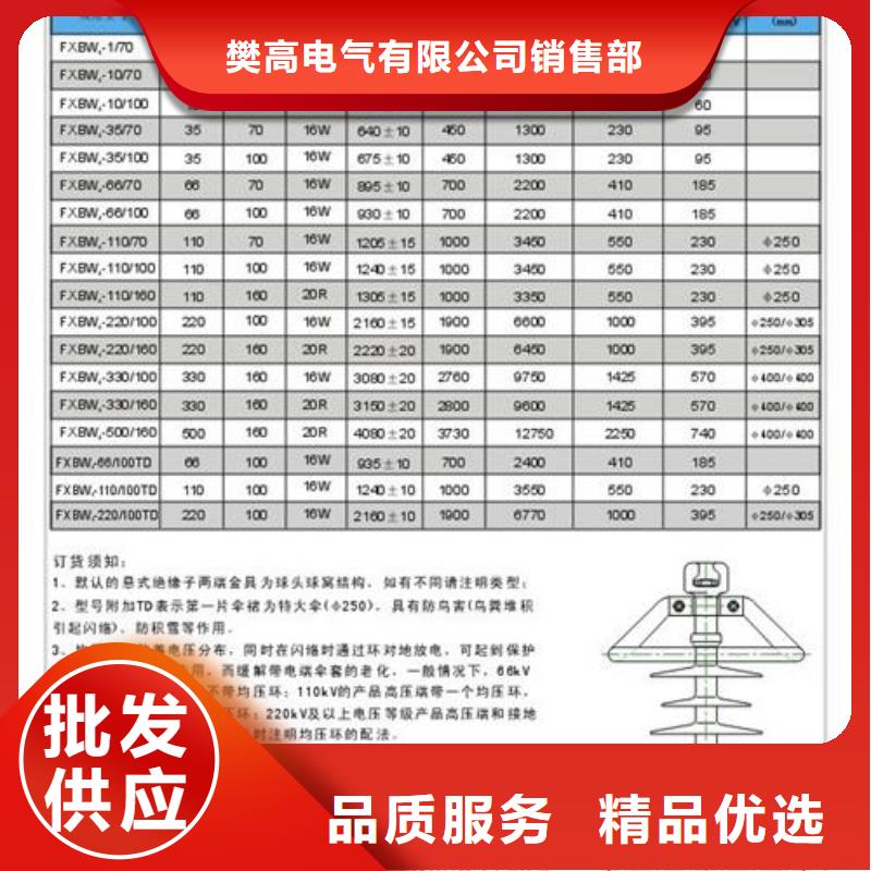 ZSW2-110/850高压陶瓷绝缘子