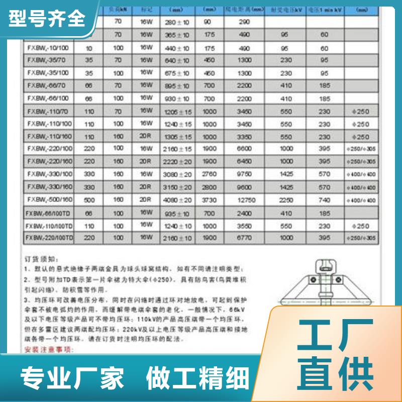 ZS-63/600陶瓷绝缘子樊高电气