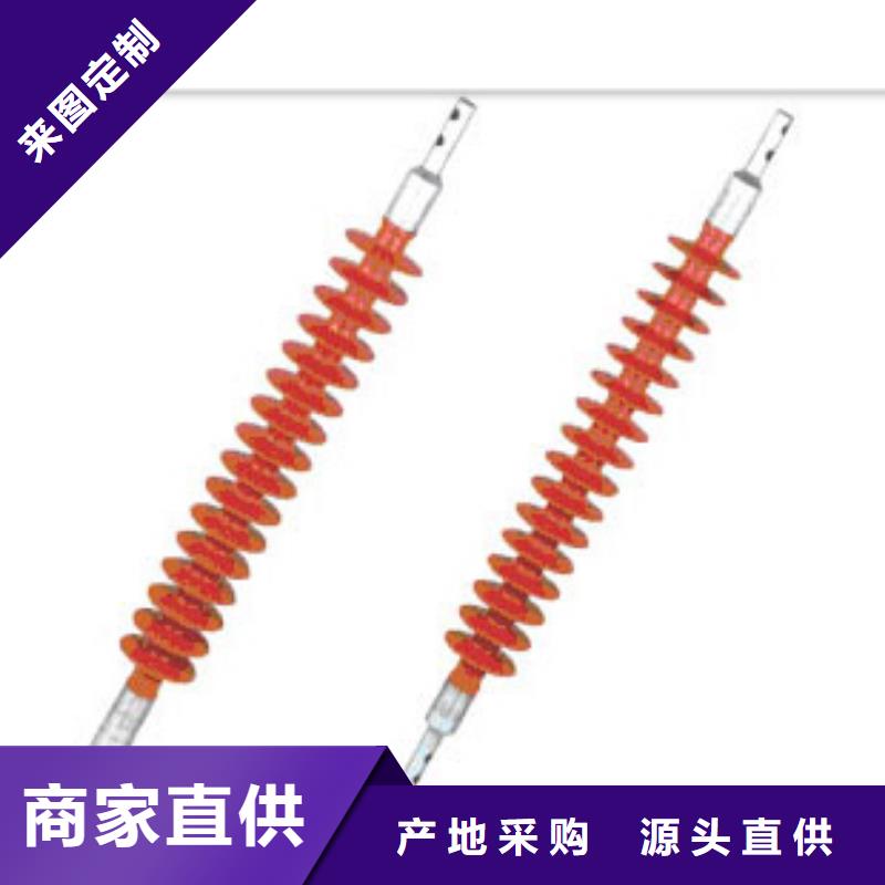 FXBW1-110/100棒型绝缘子