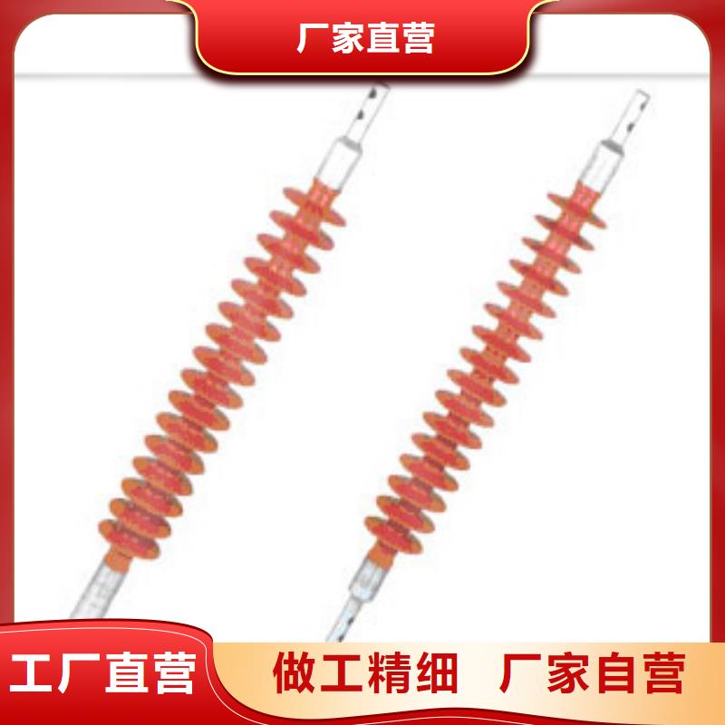 ZS-24/16陶瓷绝缘子樊高电气