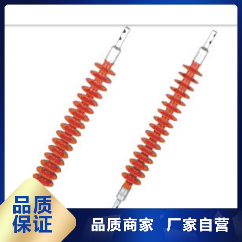 FS4-220/10复合绝缘子樊高