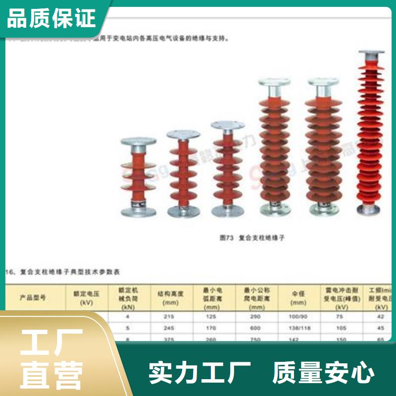 FZSW3-72.5/6复合高压绝缘子