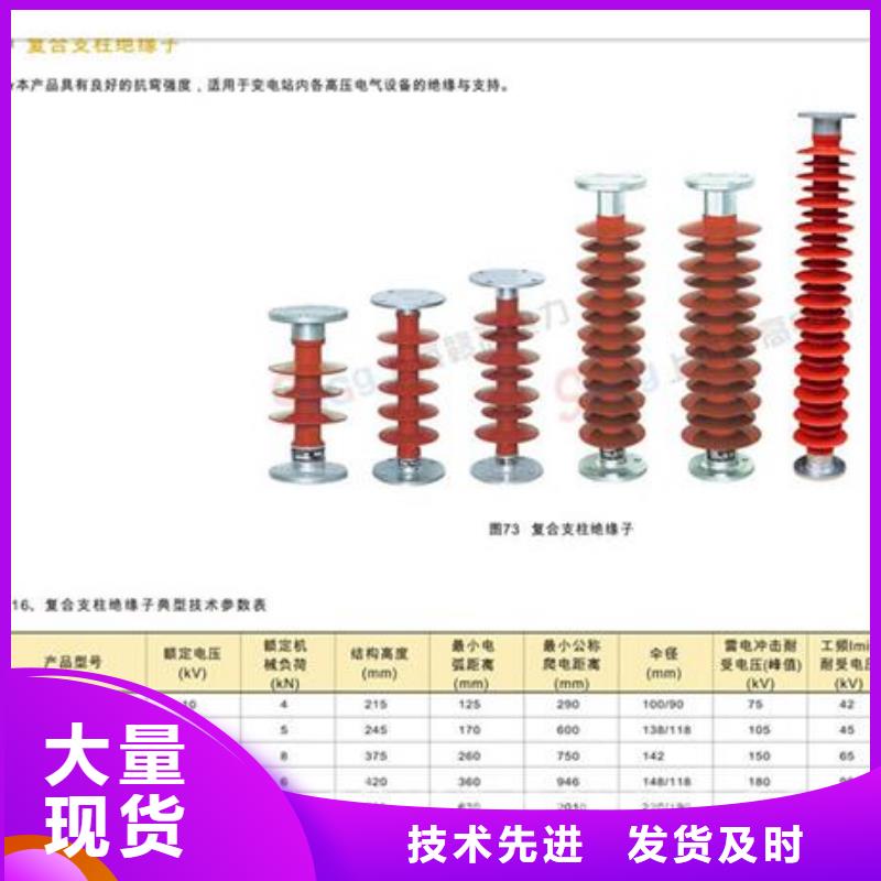 ZSW-110/8.5绝缘子樊高电气