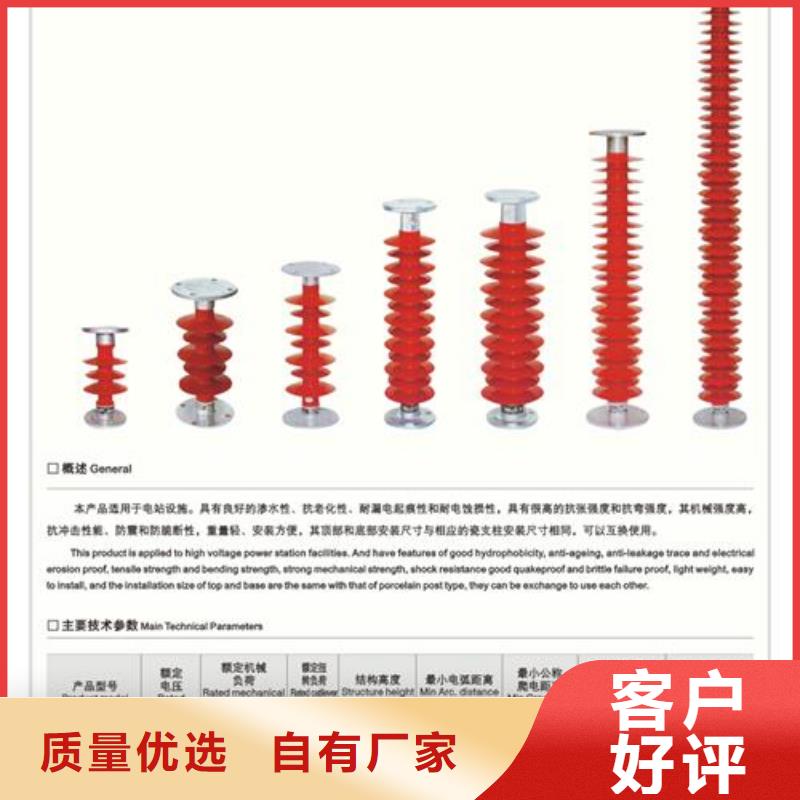 FZSW4-66/5L复合支柱绝缘子