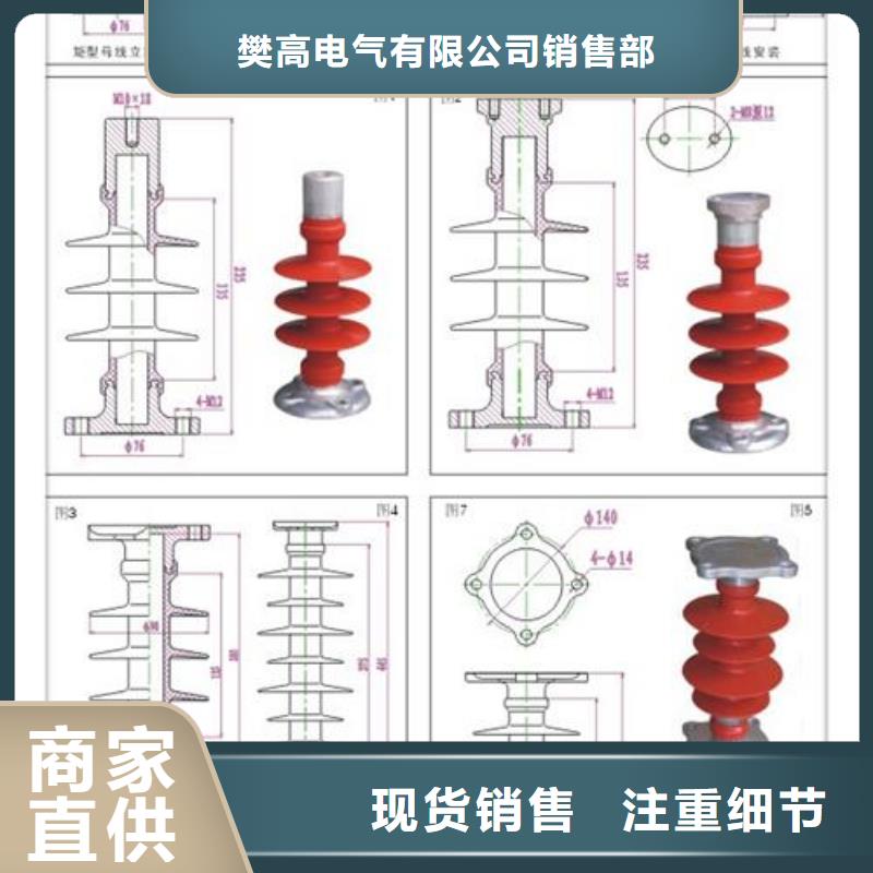 ZJ-35Q/150*320高压环氧树脂绝缘子