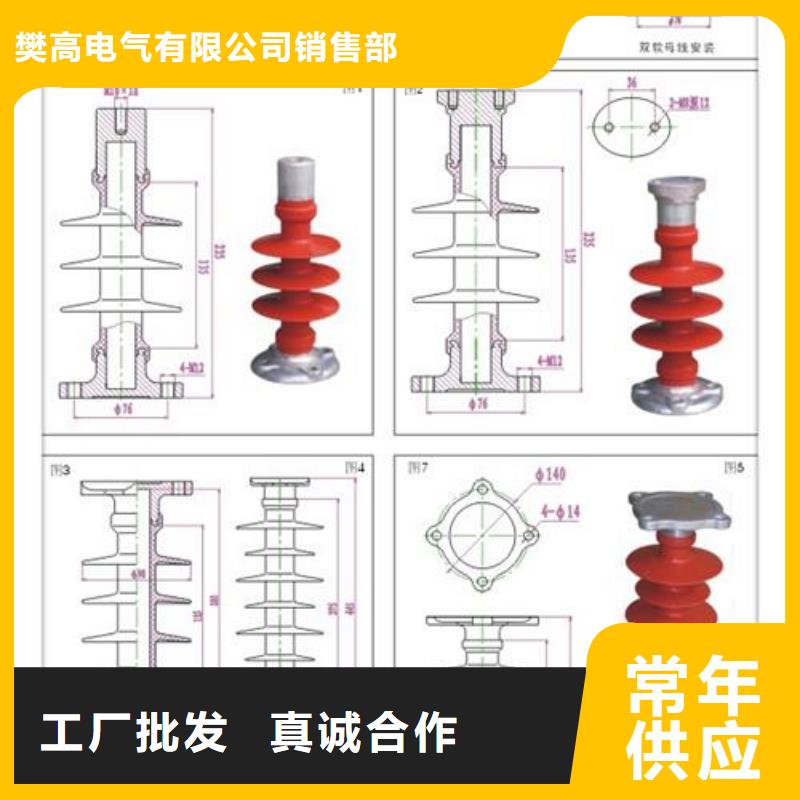 FZSW3-110/8复合高压绝缘子