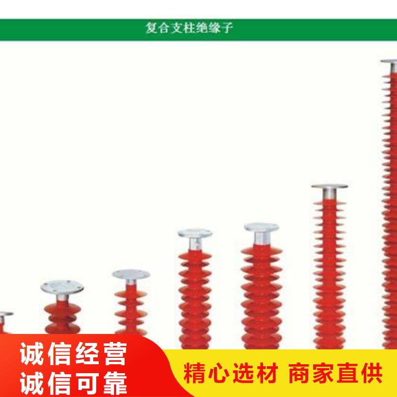 ZS2-10/1000支柱绝缘子