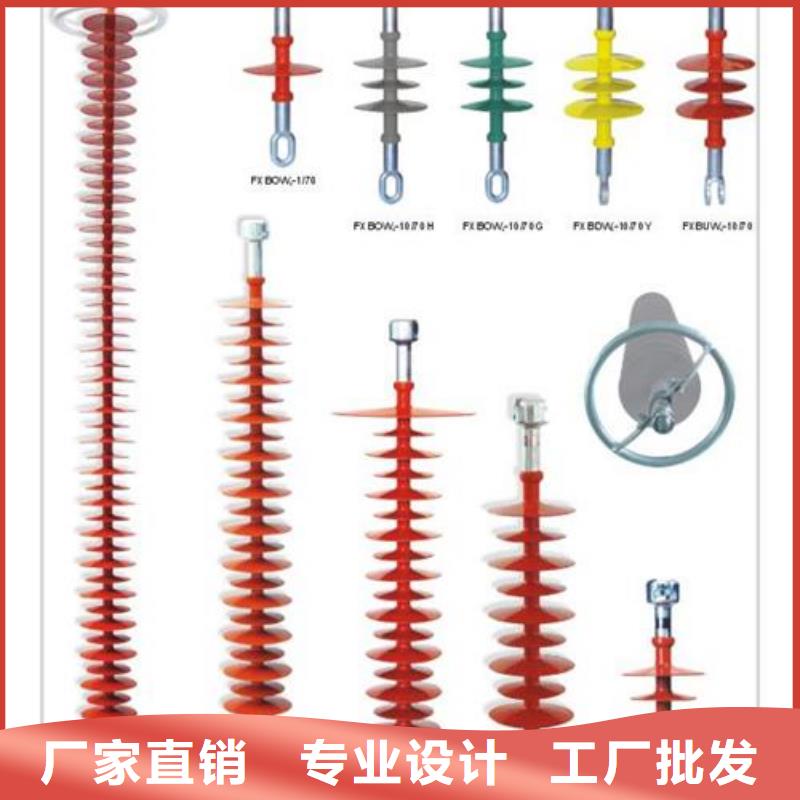 ZS-110/23.5绝缘子樊高电气