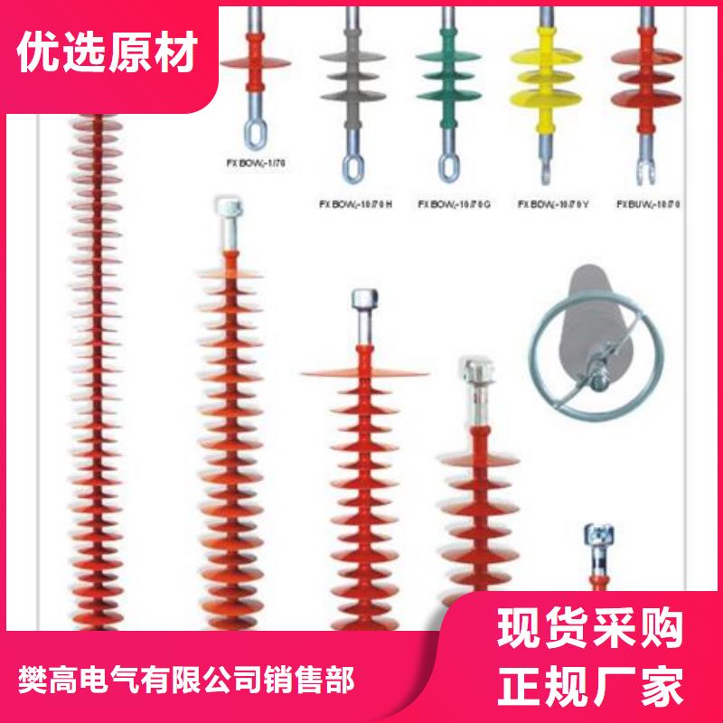 ZB-6T高压陶瓷绝缘子