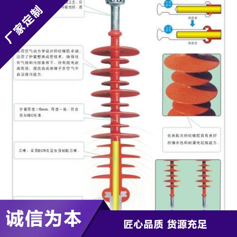 ZSW-20/800陶瓷支柱绝缘子