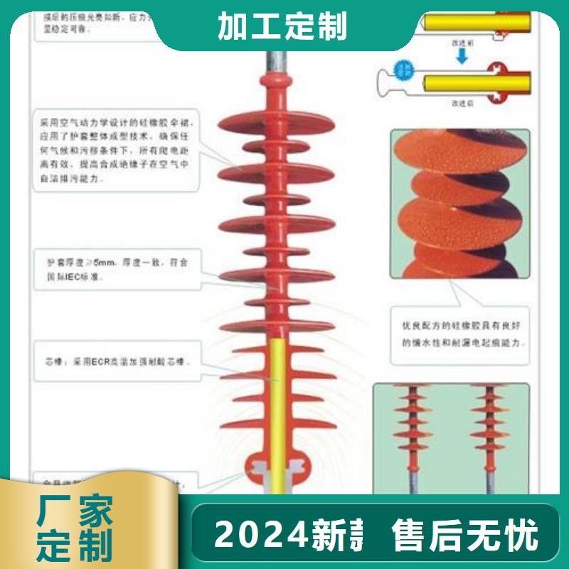 ZS-110/17户外高压绝缘子