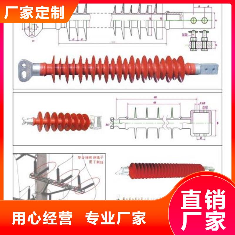 ZJ-35KV/130*320环氧树脂绝缘子