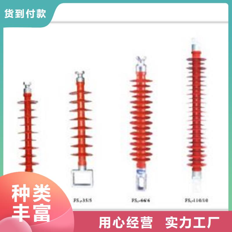 ZJ-10KV/75*130环氧树脂绝缘子