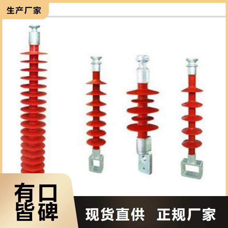 FXBW6-10/70硅胶绝缘子