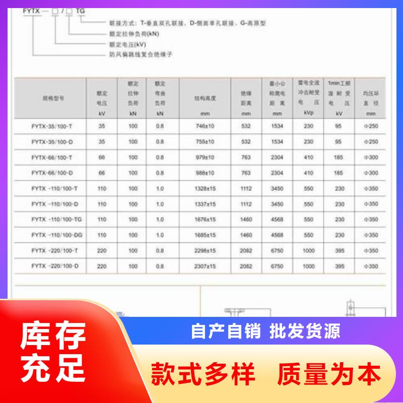 ZJ-10KV/75*130环氧树脂绝缘子