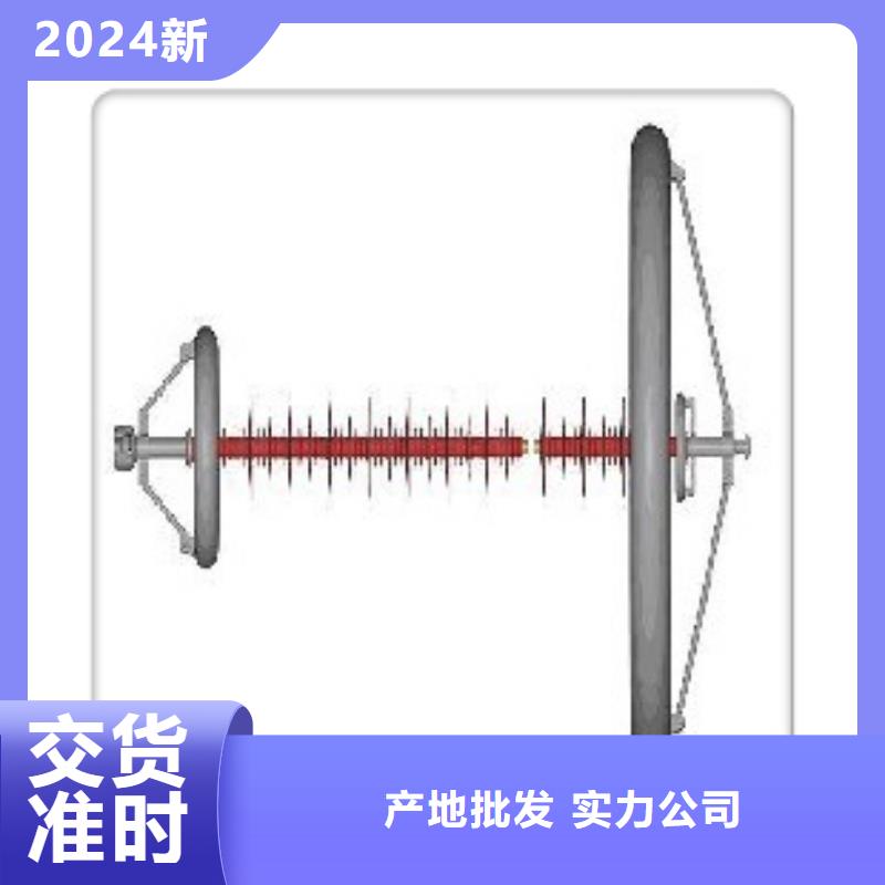 FZSW4-126/8复合绝缘子