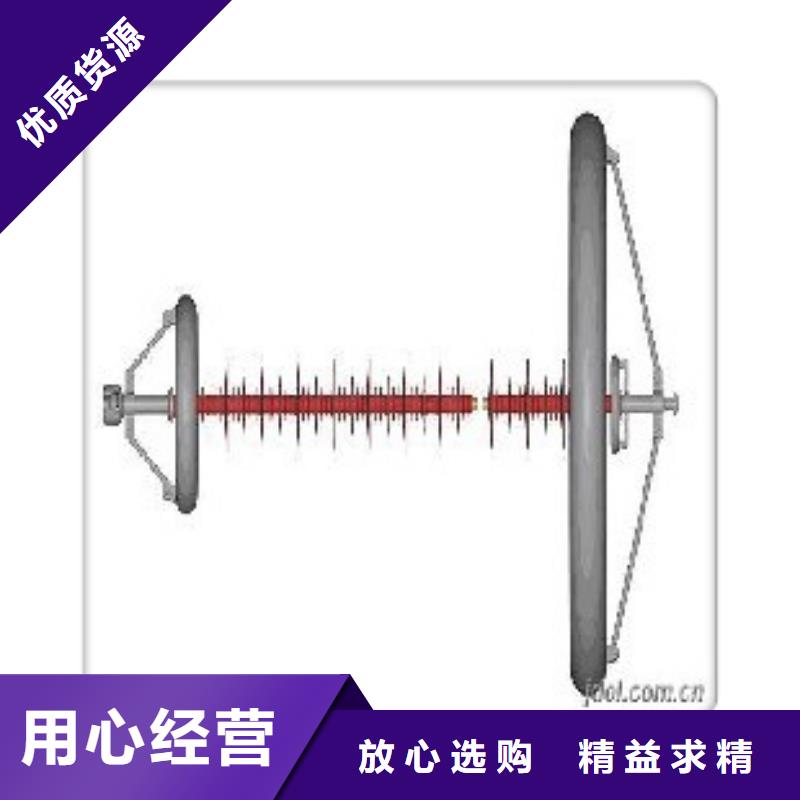 FZSW-24/8复合绝缘子樊高