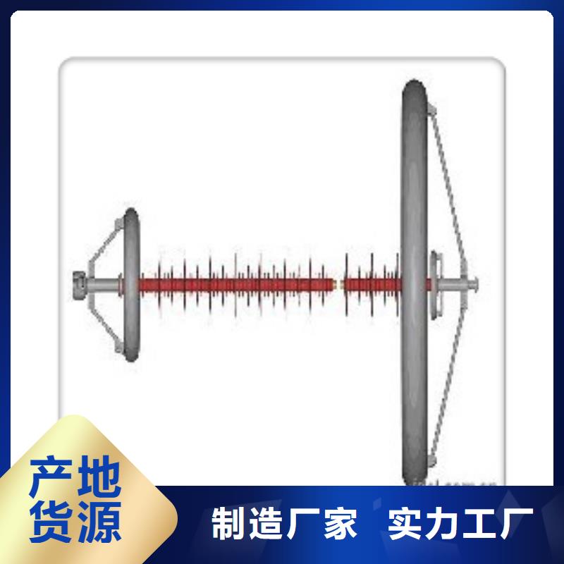 ZS-63/600陶瓷绝缘子樊高电气