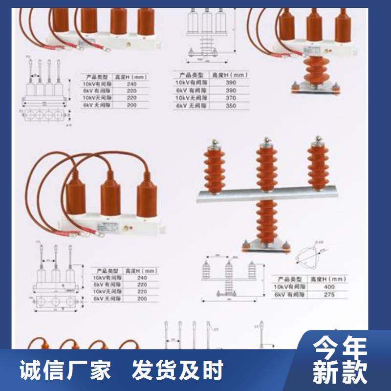 TBP-C-42/310F组合式避雷器