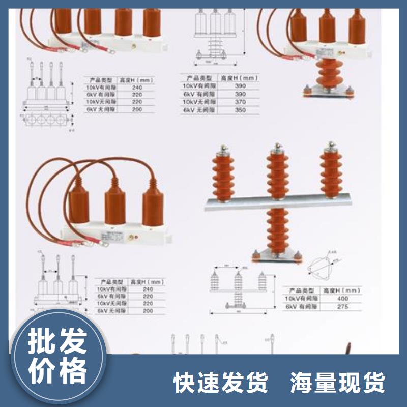 TBP-C-42F/310组合式避雷器樊高电气