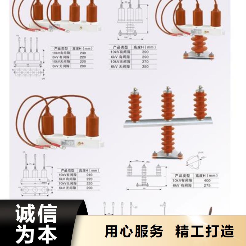 SCGB-B-12.7F/85中性点氧化锌避雷器