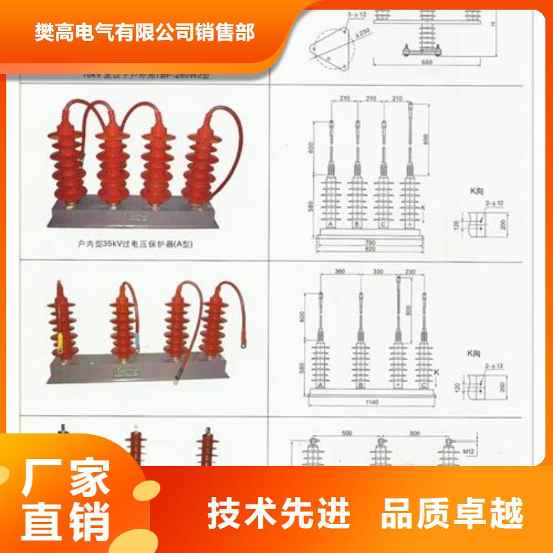 YH5CR-12.7/38X2避雷器用保护器