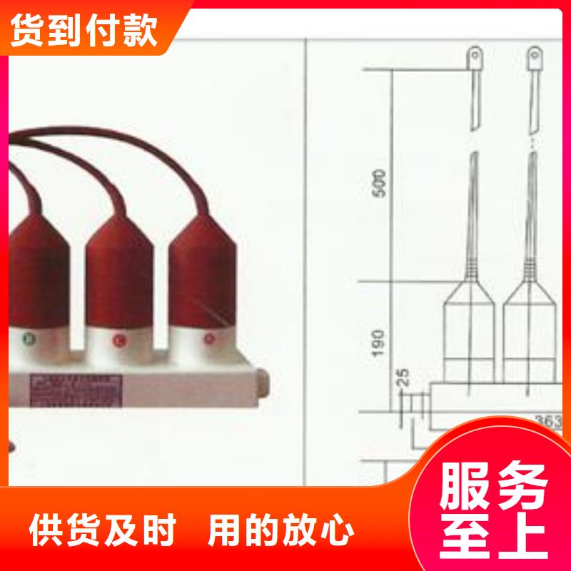 TBP-B-10三相组合式避雷器