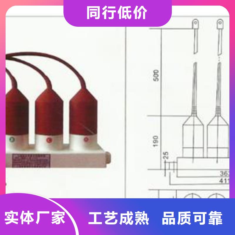 过电压保护器【高低压电器厂家】源头厂家经验丰富