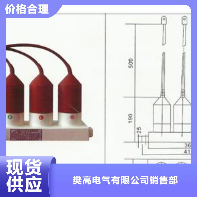 BSTG-C-12.7/600组合式保护器