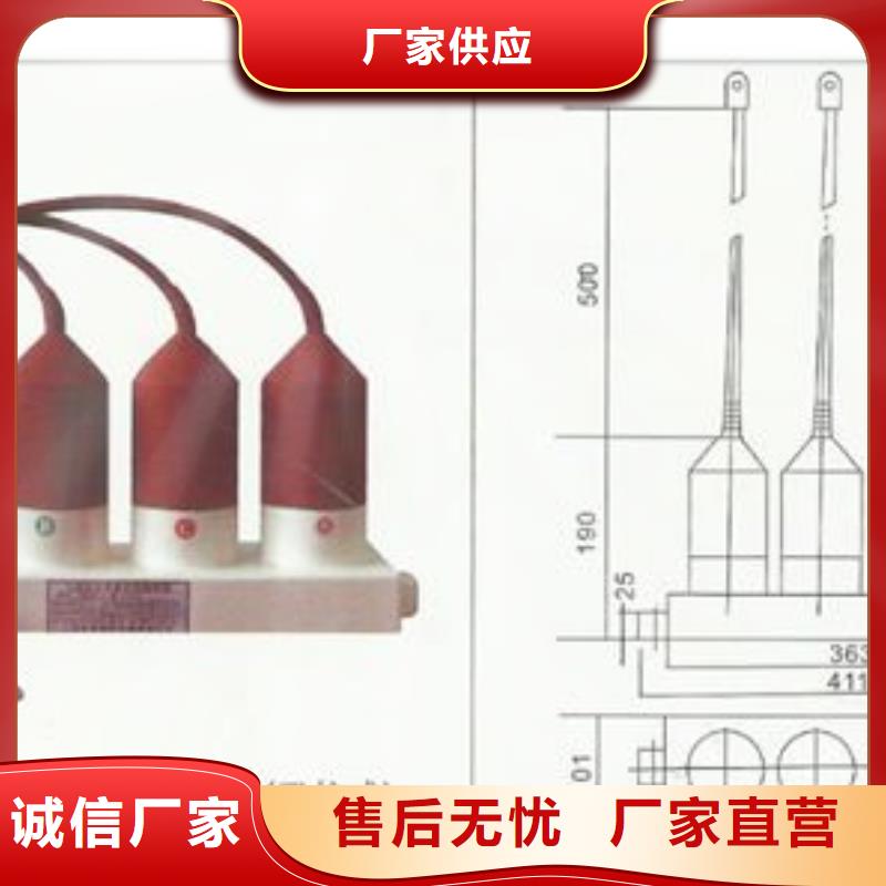 TBP-A-12.7F/85三相组合式避雷器