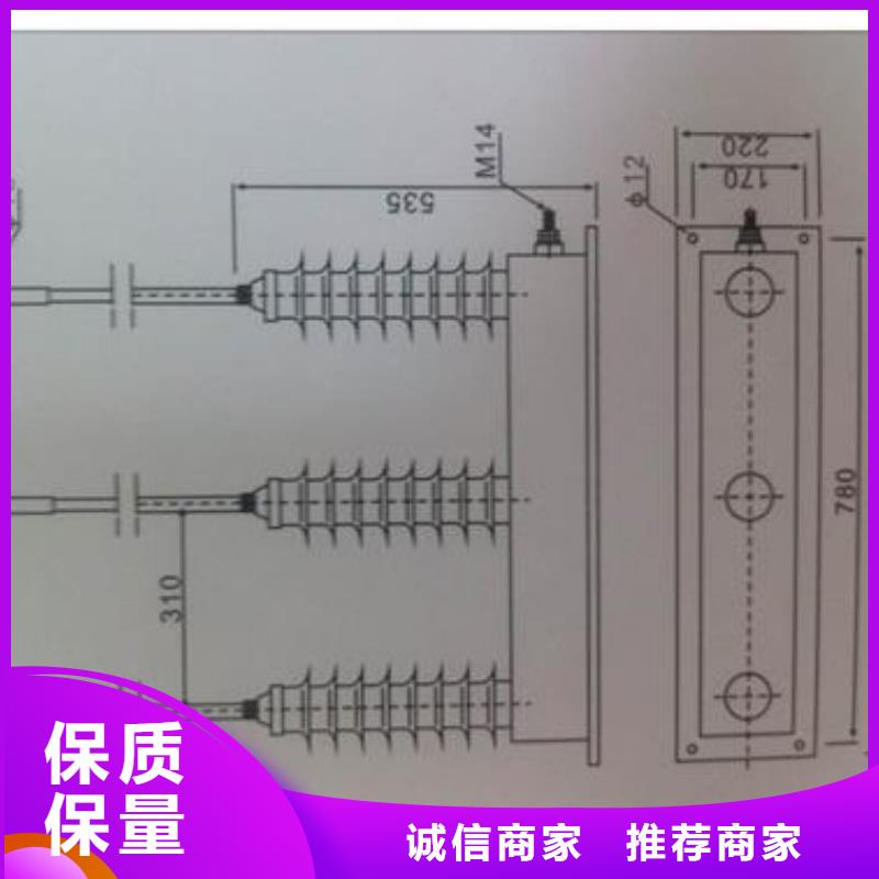 TBP-B-10KV过电压保护器樊高电气