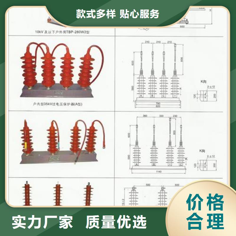 TBP-A-42F/630W2间隙过电压保护器