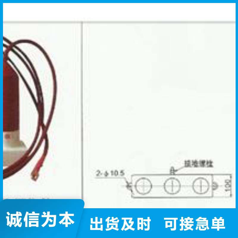 TBP-A-7.6-F/120中性点高压避雷器