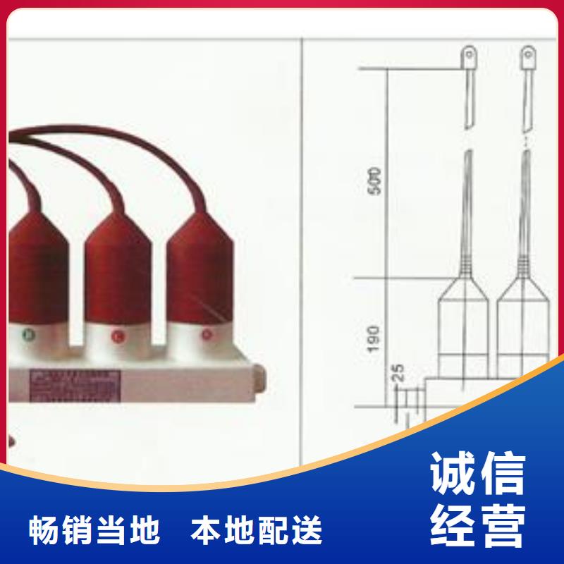 TBP-B-42F/200组合式过电压保护器