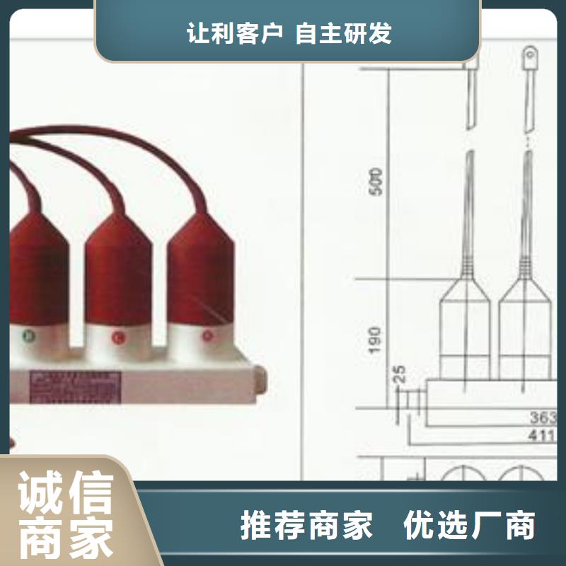 【过电压保护器跌落式熔断器诚信可靠】