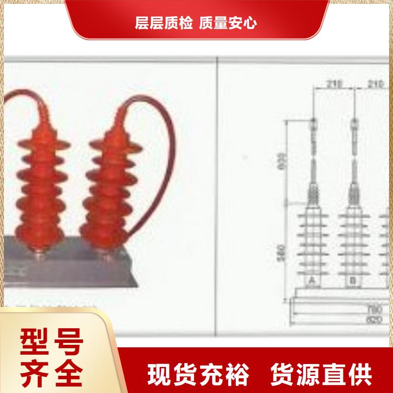 YH5CR-12.7/38X2避雷器用保护器