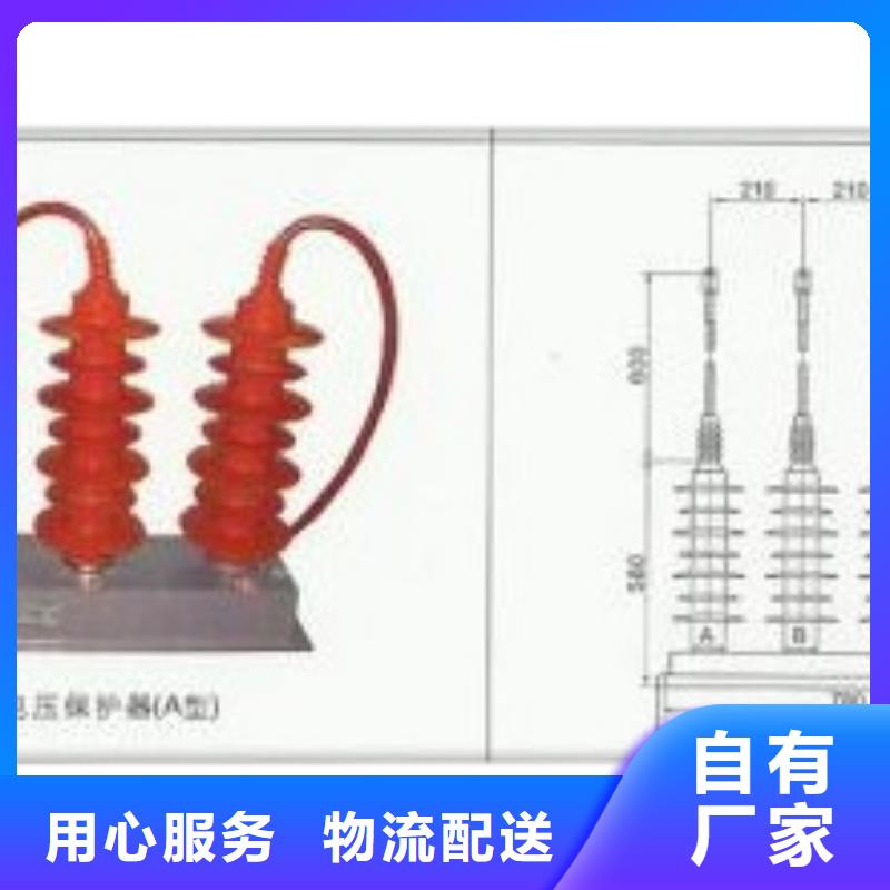 TBP-A-42F/630W组合式避雷器