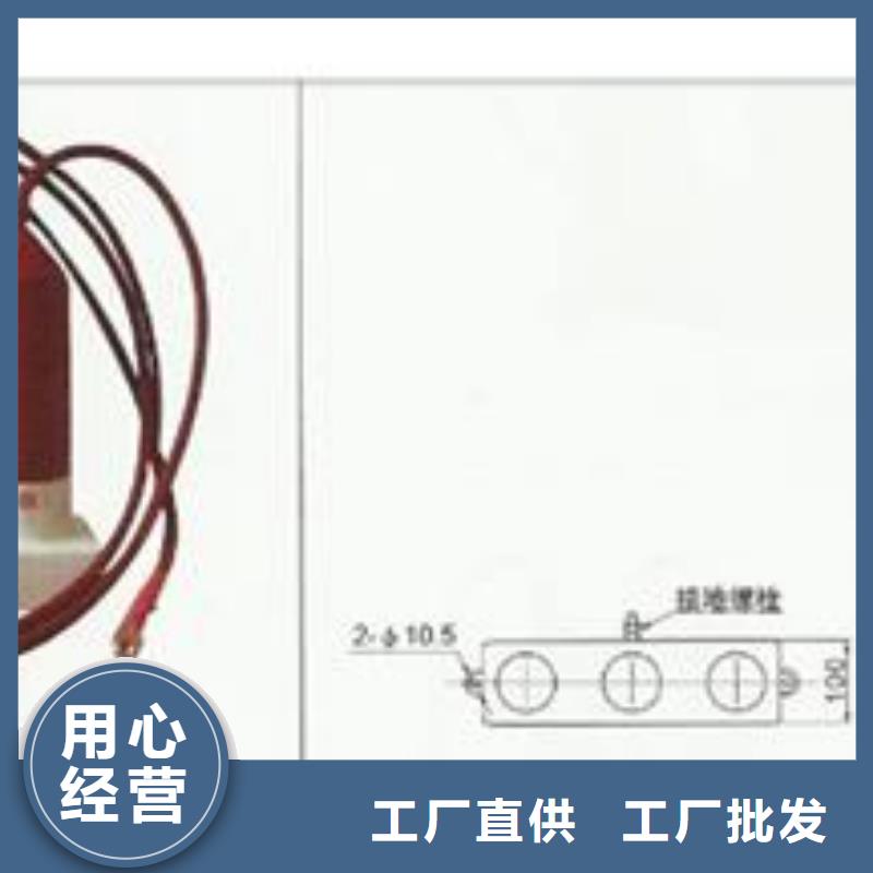 TBP-A-42F/200过电压保护器