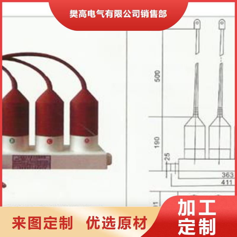 TBP-A-12.7F/150间隙过电压保护器