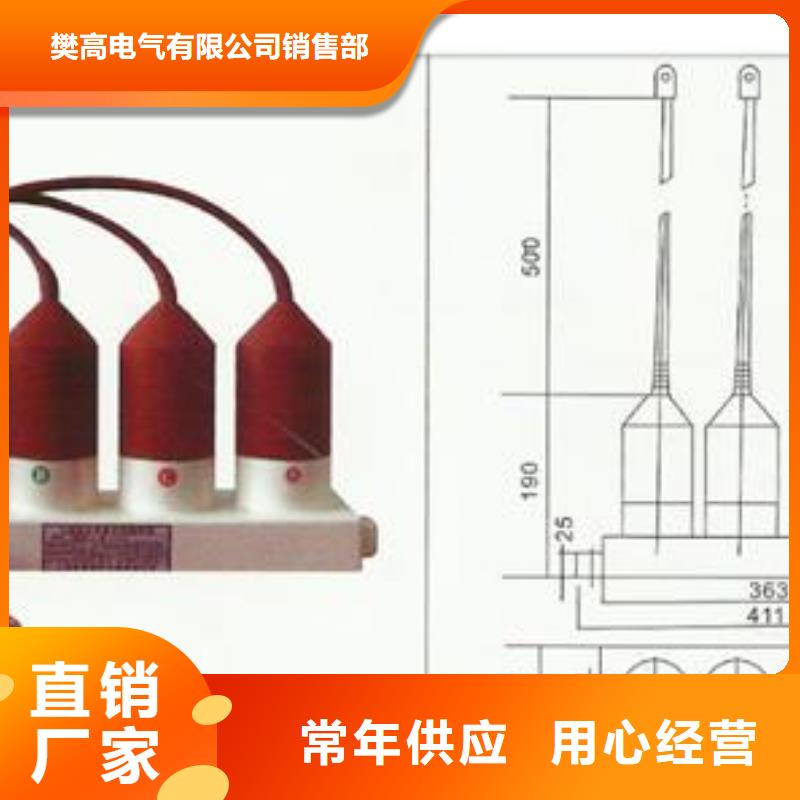 TBP-C-42F/400W间隙过电压保护器