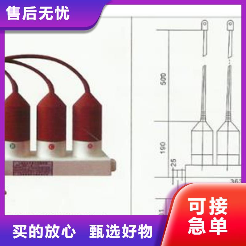 SCGB-C-7.6F/85中性点避雷器