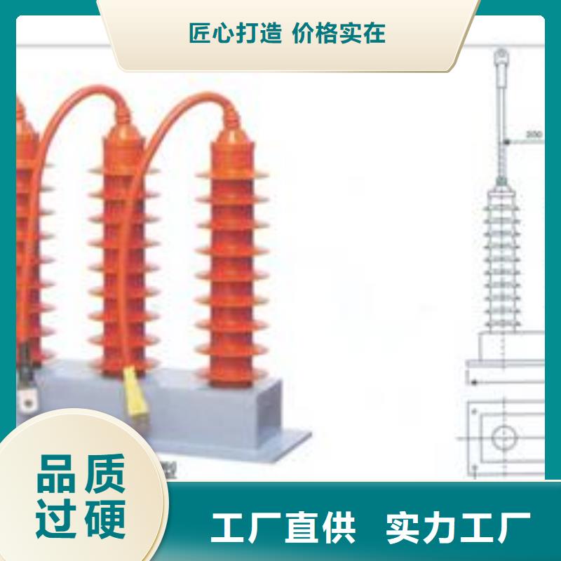 TBP-C-42F/310组合式避雷器樊高电气