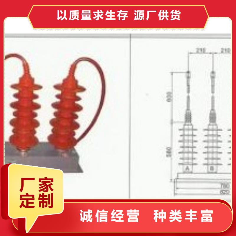 TBP-C-7.6/131组合式避雷器樊高电气