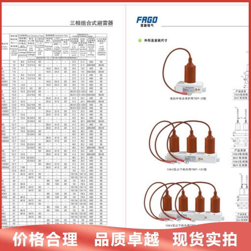 TBP-A-42F/630W2间隙过电压保护器