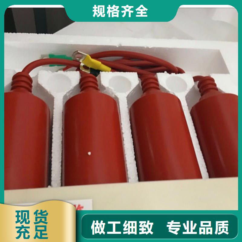 BSTG-C-12.7/131组合式保护器