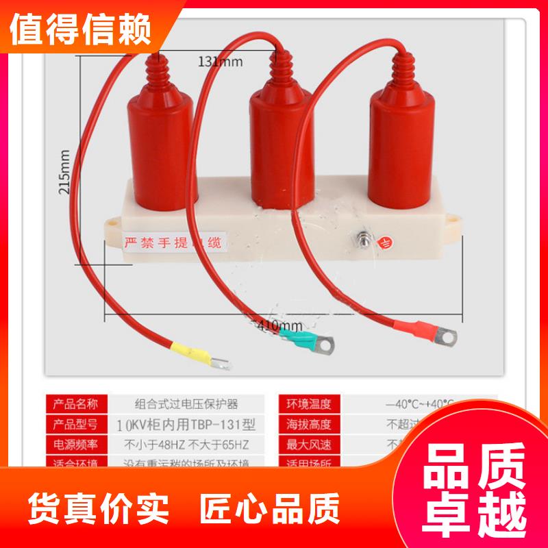 TBP-C-7.6F/85组合式避雷器